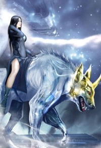 至尊狂兵
