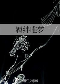 (BL/奥特曼同人)羁绊唯梦